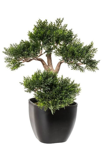 15" Cedar Bonsai Tree Green