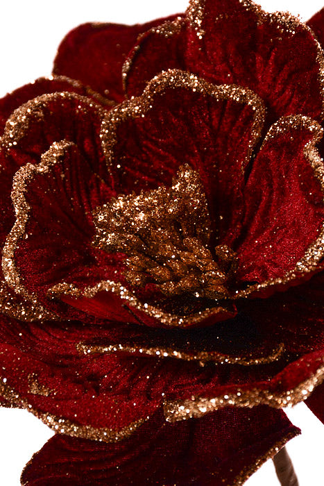 22" Beaded Edge Velvet Peony Stem Burgundy/Gold