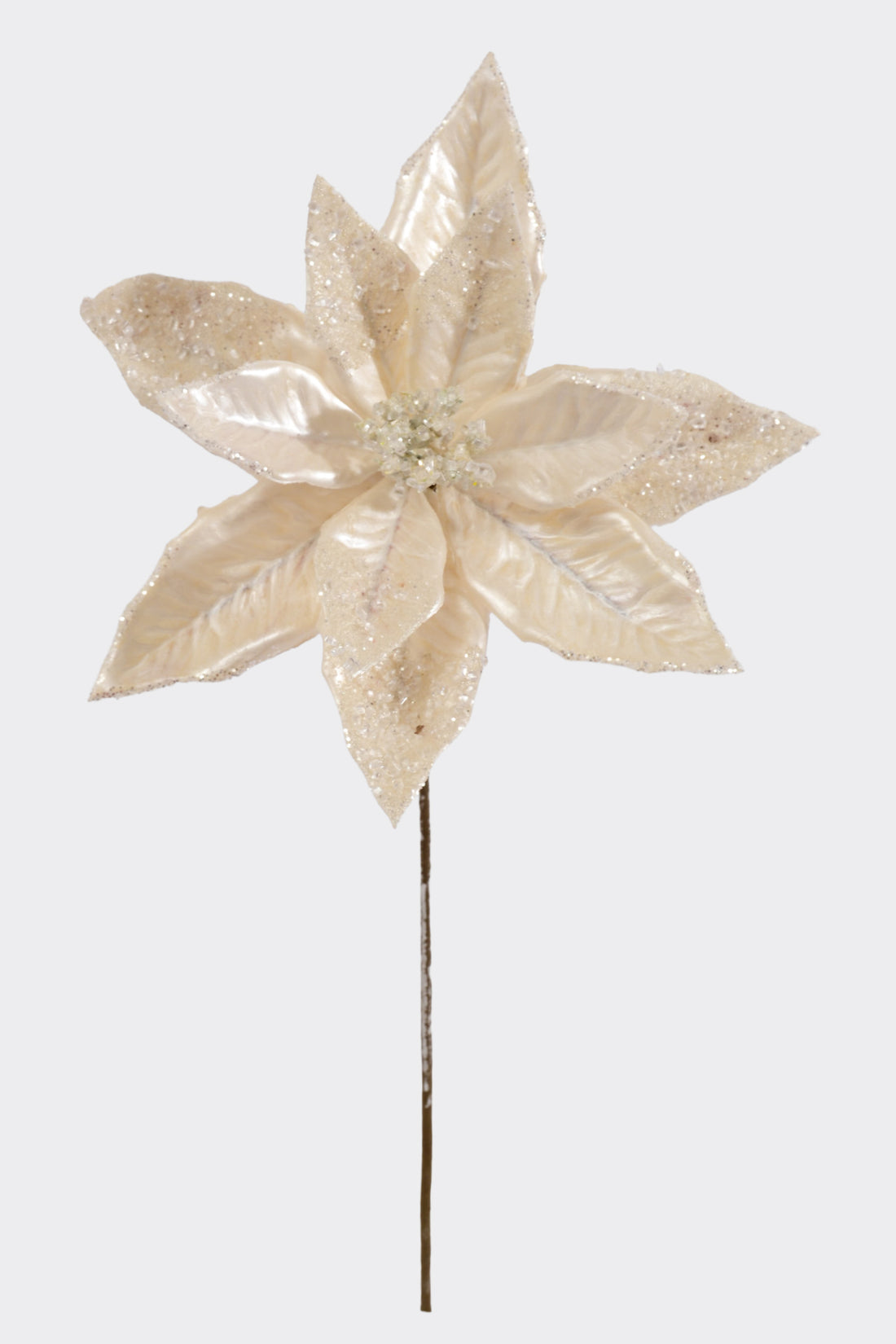 21.5" Poinsettia Stem White