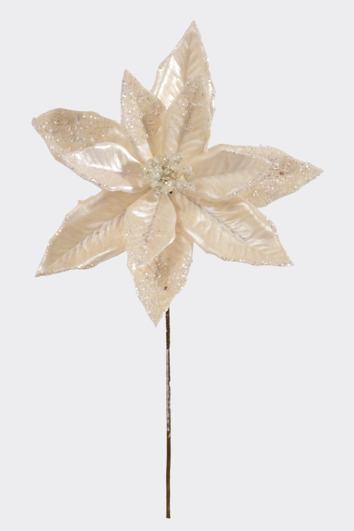 21.5" Poinsettia Stem White