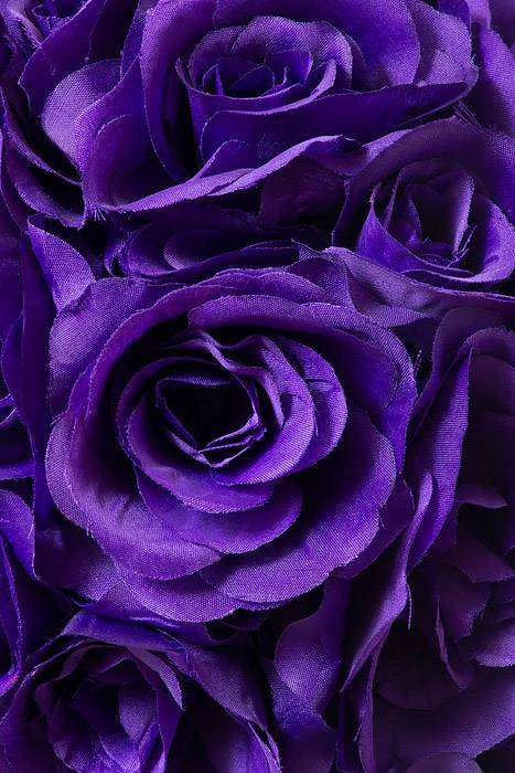 12&quot; Rose Ball W/ribbon Purple