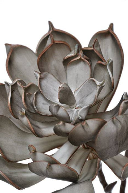 37" Foam Magnolia Spray Gray