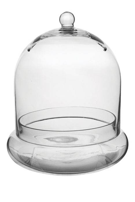 11.5" Terrarium Glass Cloche Crystal