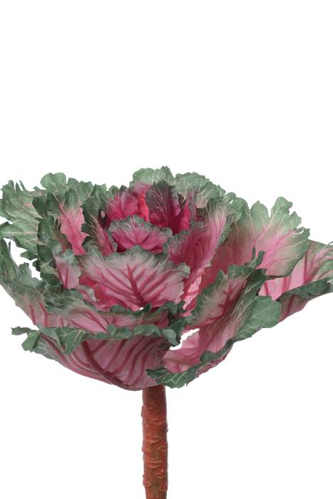 11.5" Ornamental Cabbage Cerise/green