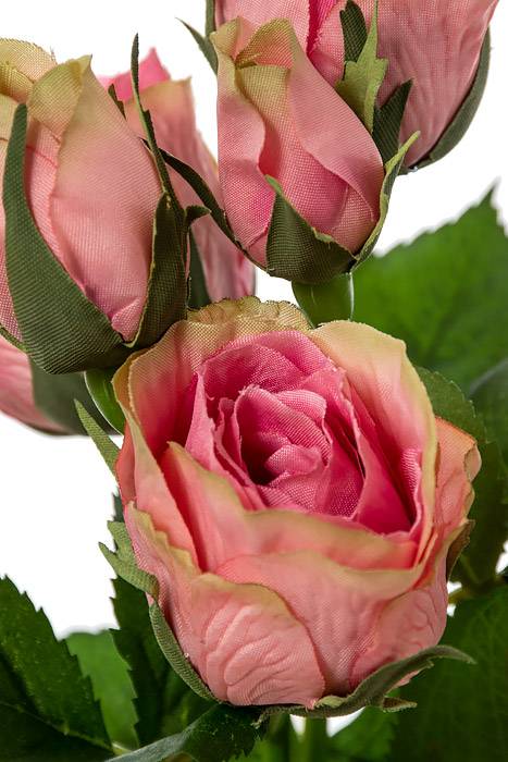 15.5" Rose Spray Dark Pink