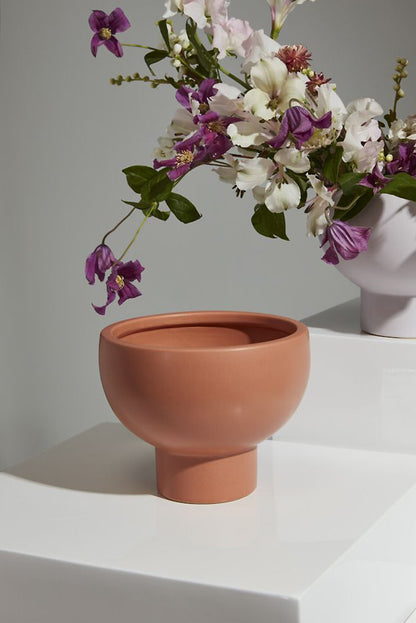 6.5" X 5.25" Capricorn Compote Terracotta