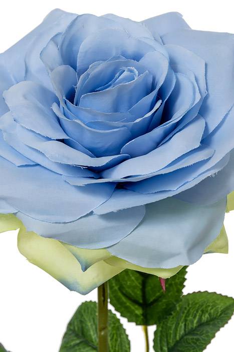 20" Open Rose Spray Blue