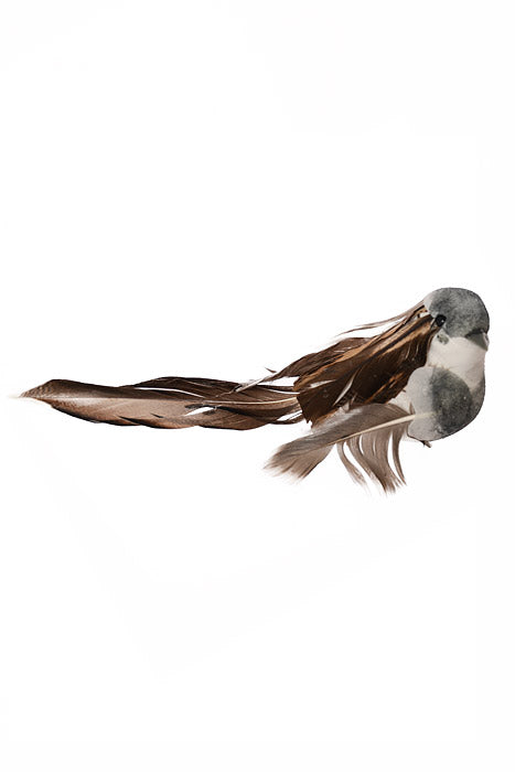 5.5" Bird With Clip Gray/Brown Set/3