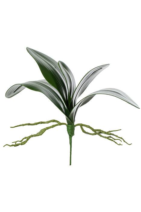 14" Phalaenopsis Leaf Cluster Green