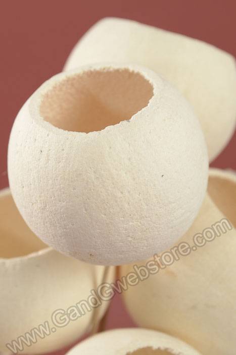 Bell Cups On Stem Bleached Pkg/6