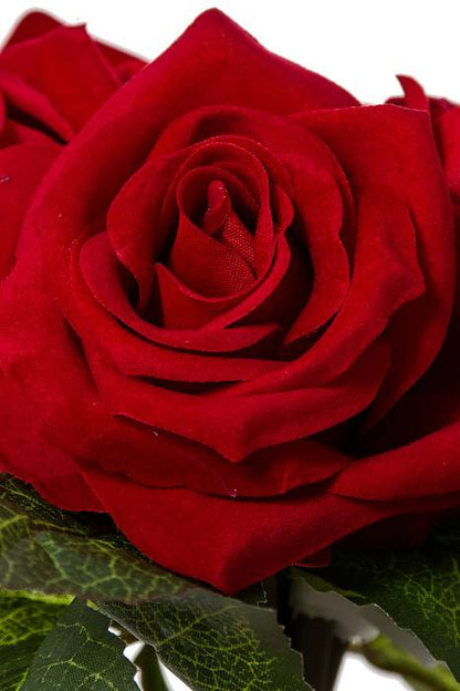 11&quot; Velvet Rose Bundle Red