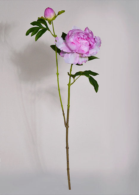 25" Silk Peony Spray Violet