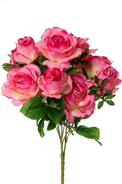 19" Rose/rose Bud Bush X10 American Beauty