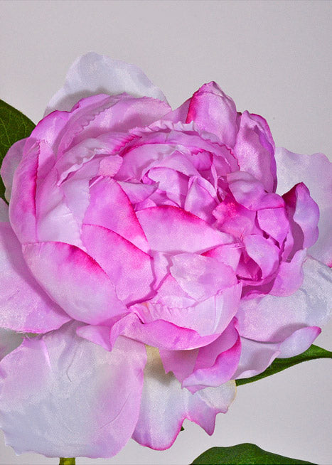 25" Silk Peony Spray Violet