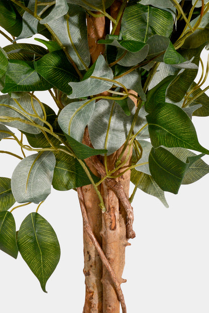 3Ft Artificial Ficus Tree Green