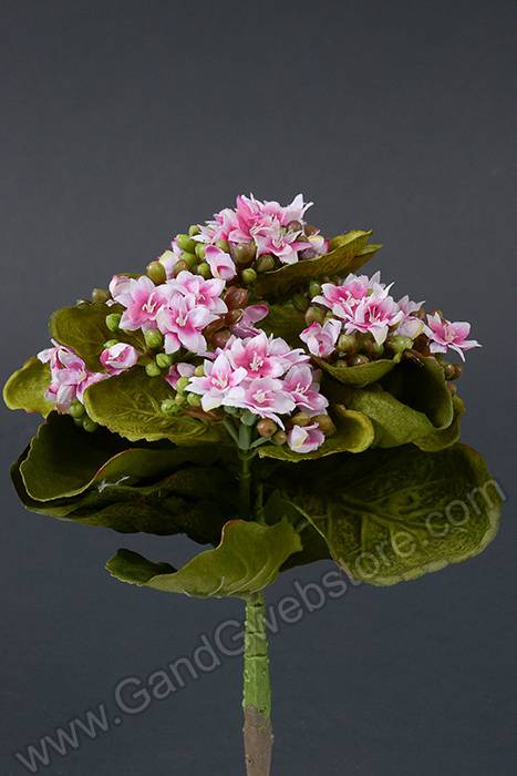 9&quot; Mini Silk Kalanchoe Bush Pink