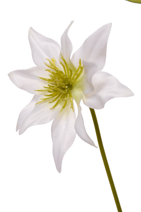19.5&quot; Silk Clematis Spray White
