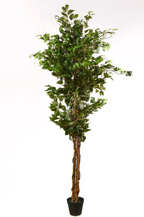 6Ft Artificial Ficus Tree Green