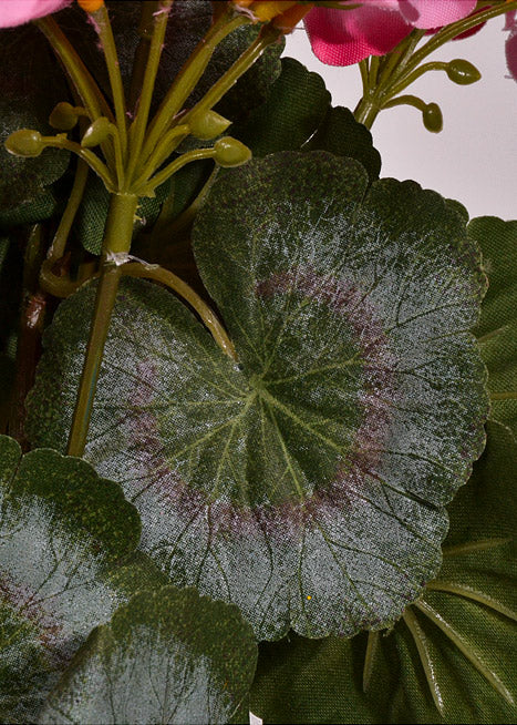17" Silk Geranium Bush Pink