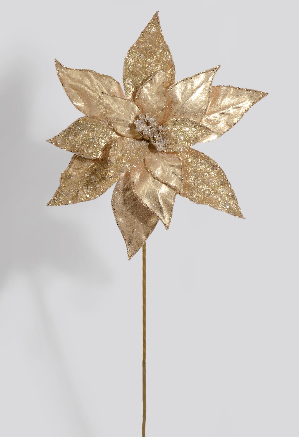 27" Glitter Iced Poinsettia Stem Champagne
