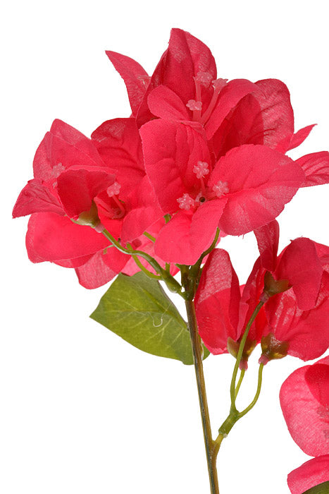 44&quot; Silk Bougainvillea Spray Beauty