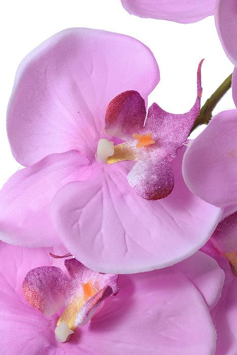 43" Orchid Spray Lavender