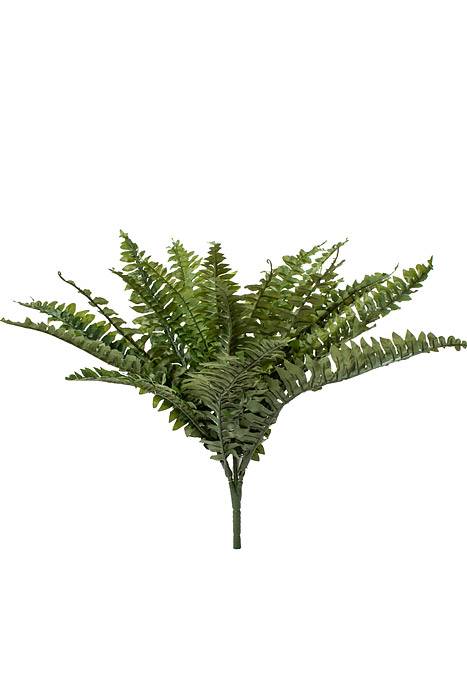 28" Boston Fern Green