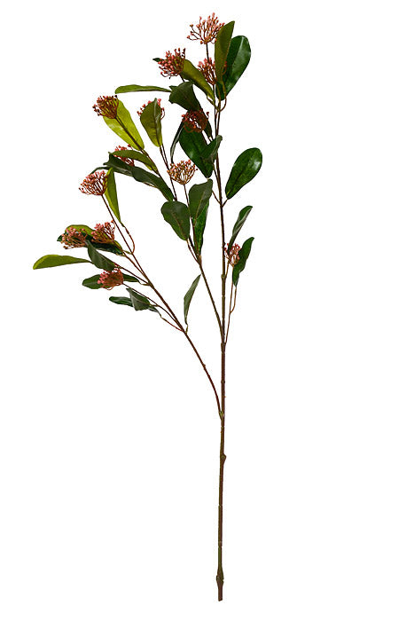 41" Sweet Osmanthus Spray Peach