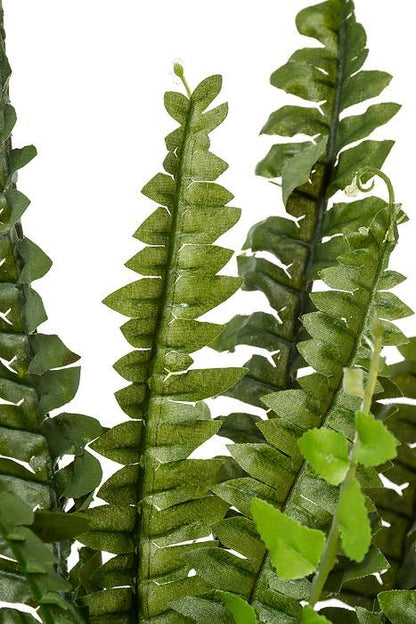 28" Boston Fern Green