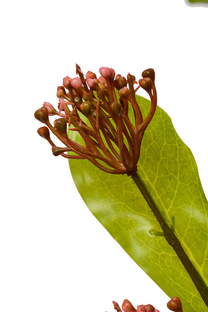 41" Sweet Osmanthus Spray Peach