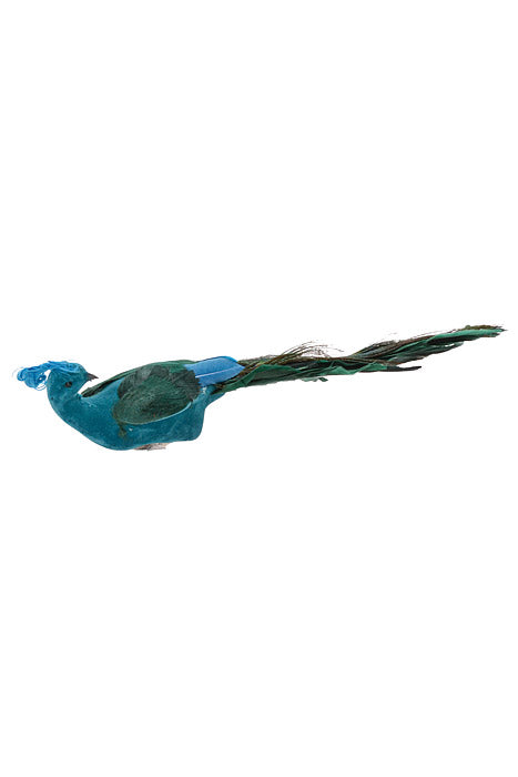 16" Feather/Flocked Peacock Turquoise