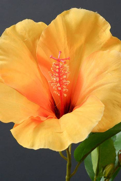 26" Silk Hibiscus Spray Yellow/orange