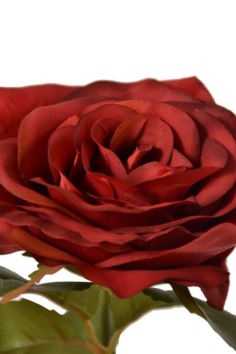 20.5" Silk Opening Rose Stem Crimson