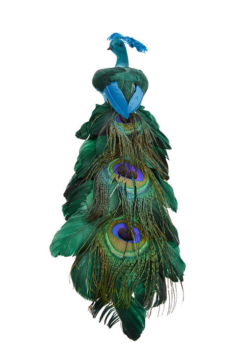 16" Feather/Flocked Peacock Turquoise