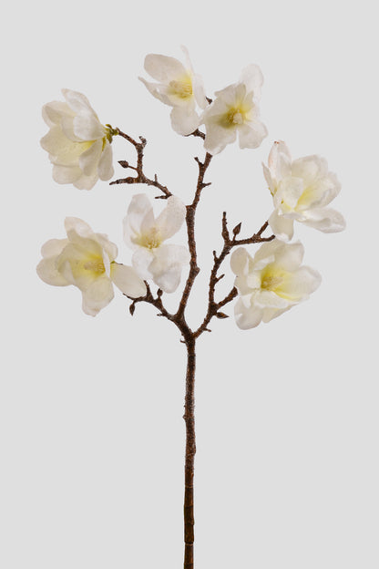 21" Winter Iced Magnolia Branch White