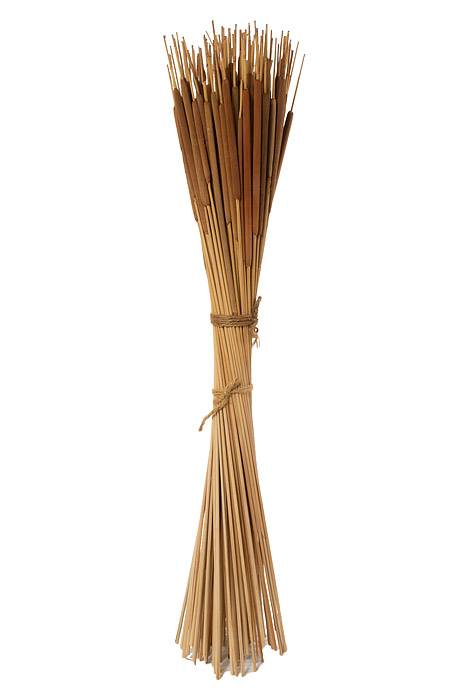 Cattails Pencil Dk. Brown Pkg100