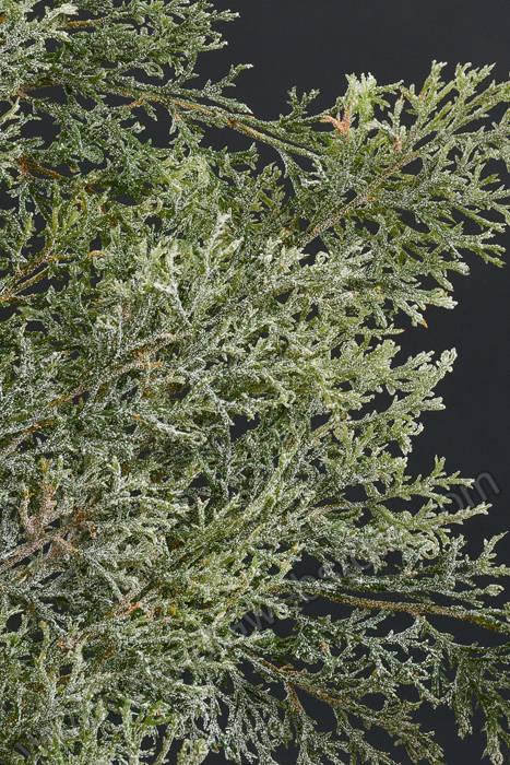 31" Glitter Cedar Spray Green/white