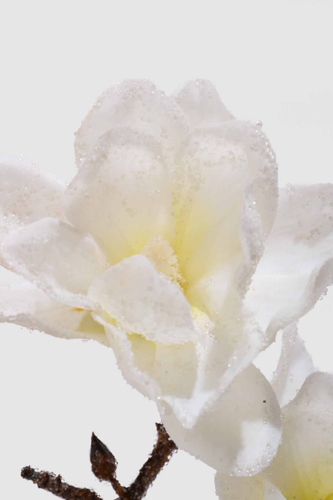 21" Winter Iced Magnolia Branch White