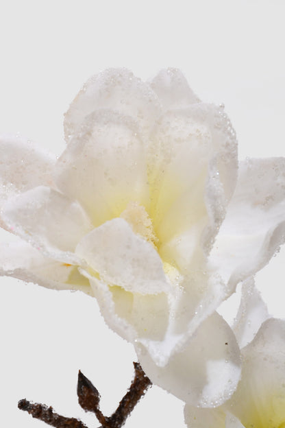 21" Winter Iced Magnolia Branch White