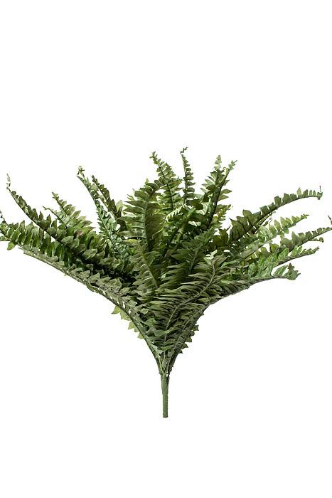 34" Boston Fern Green
