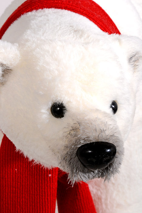 10.2&quot; x 14&quot; Bear W/Scarf White/Red