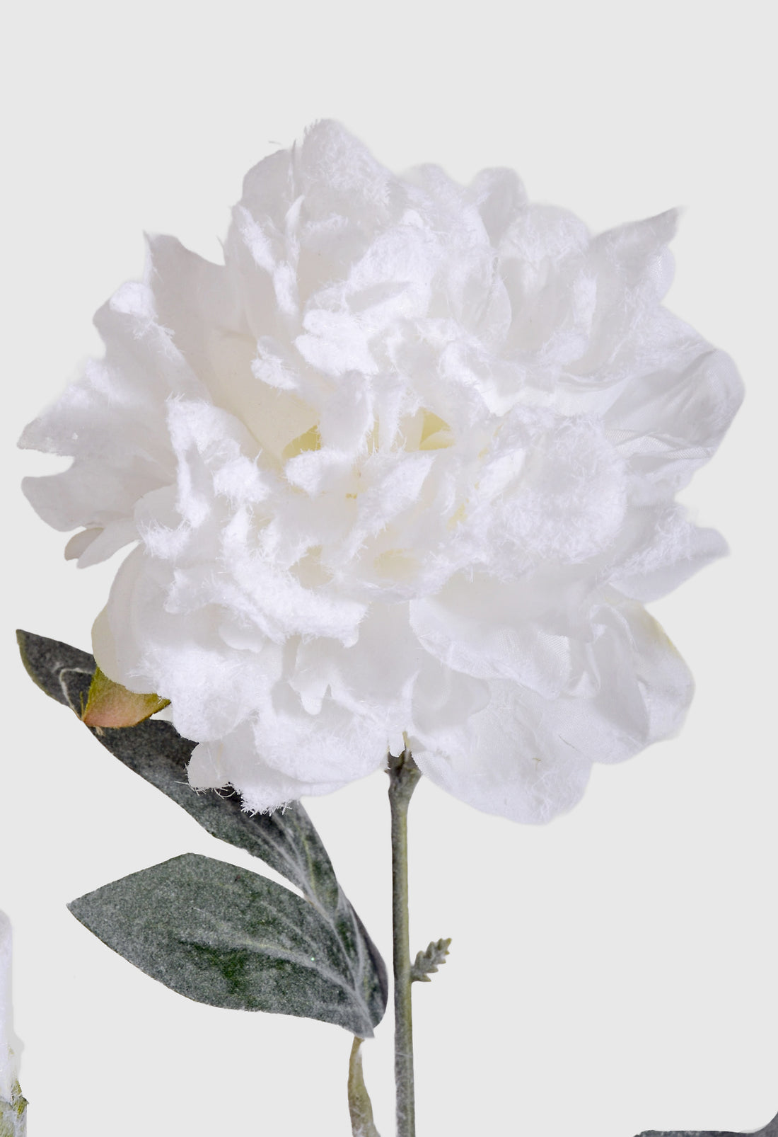 32" Snowed Peony Spray White