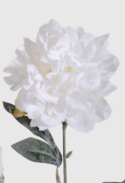 32" Snowed Peony Spray White