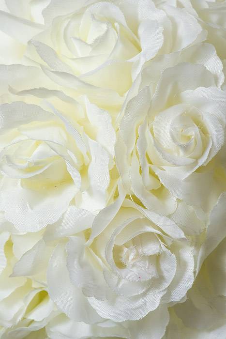 6&quot; Rose Ball W/hanging Ribbon &amp; Bead Ivory