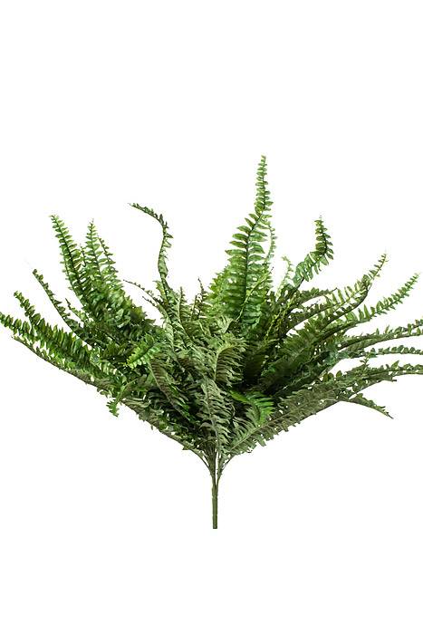 48" Boston Fern Green