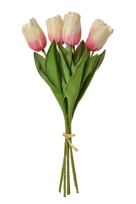 26" Tulip Bundle Cream/Pink
