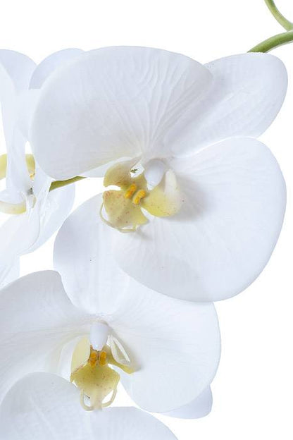27" Phalaenopsis Spray White