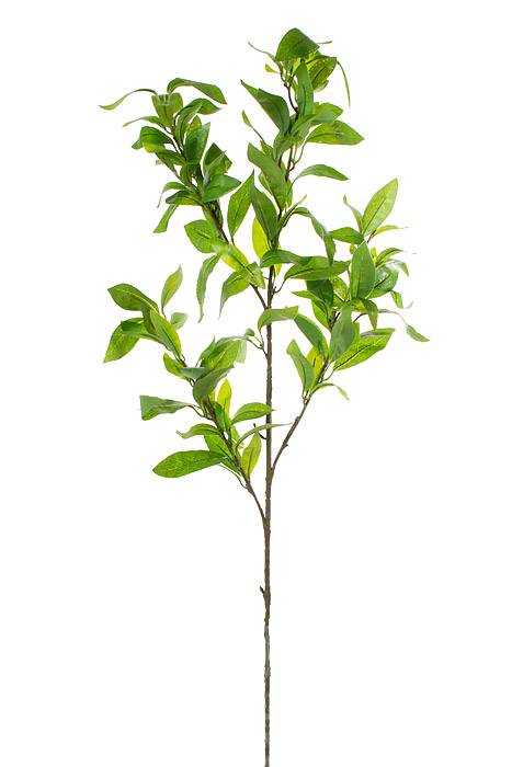 37" Laurel Leaf Spray Green
