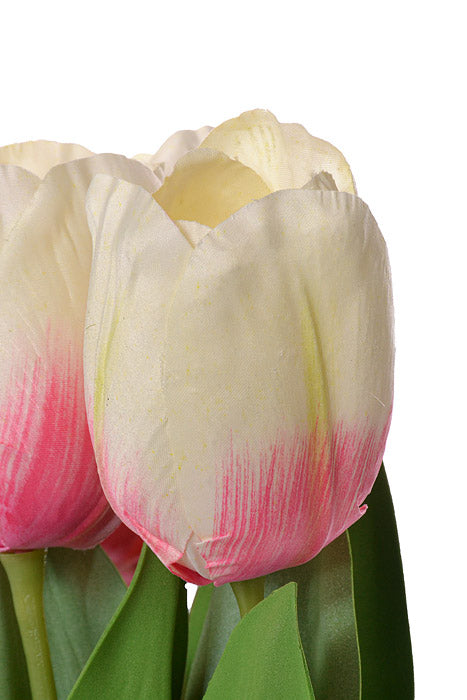26" Tulip Bundle Cream/Pink