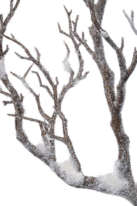 35" Coral Branch White/Natural